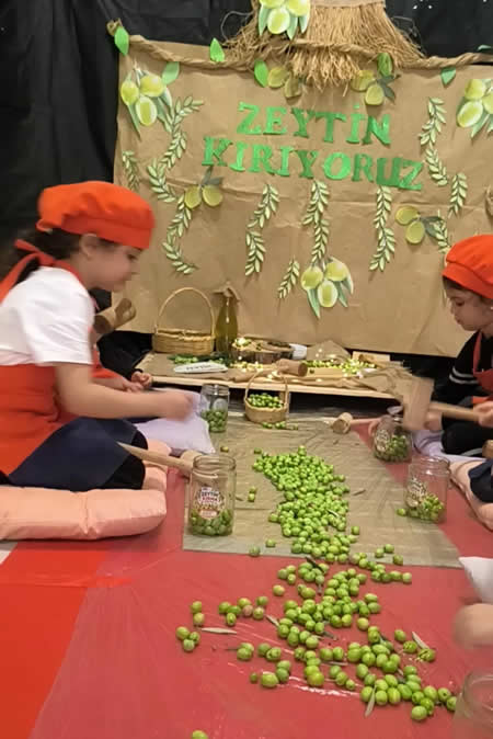 Geleneksel Zeytin Kırma Etkinliği