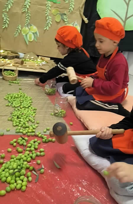 Geleneksel Zeytin Kırma Etkinliği