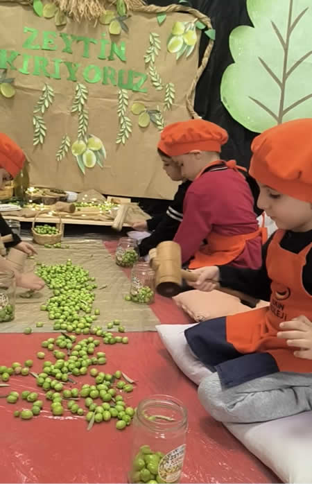 Geleneksel Zeytin Kırma Etkinliği